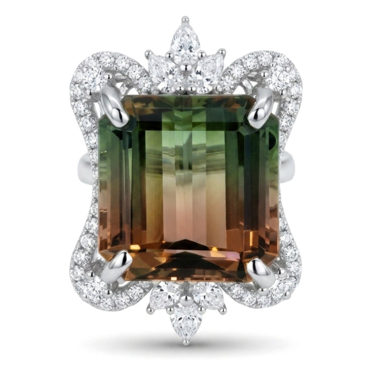 1123001.jpg