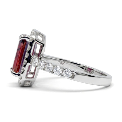 1126782_2.jpg