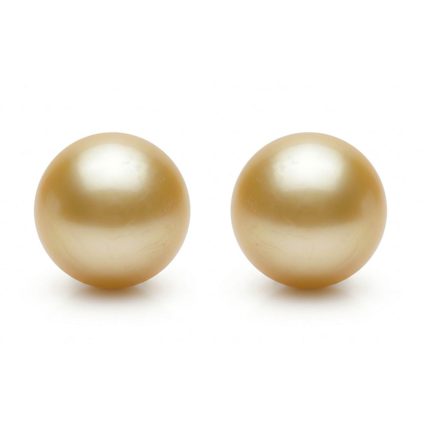 18K Round 15mm South Sea Golden Pearl Stud Earrings