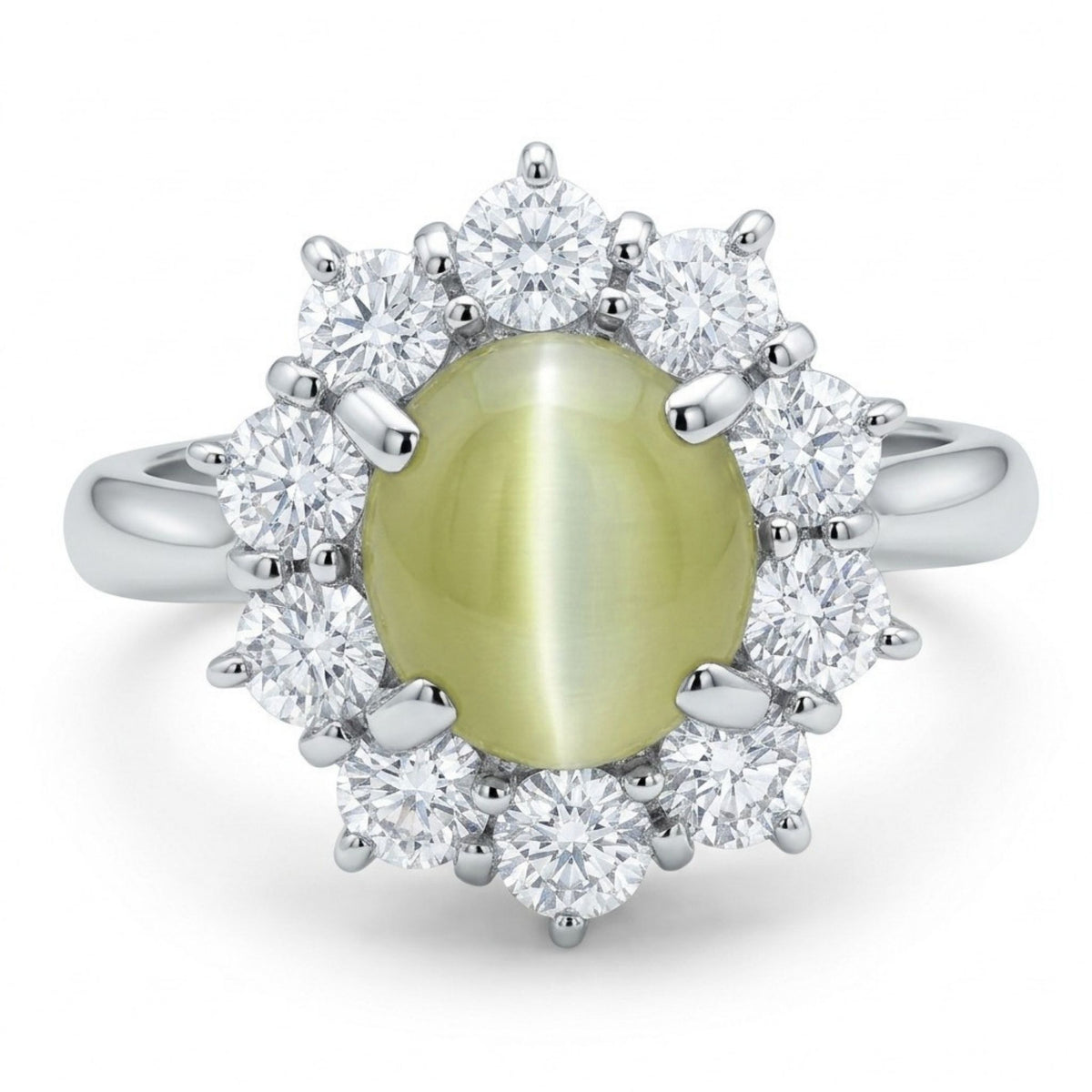 1132701.jpg